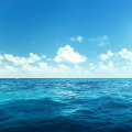 Applying Blue Ocean Strategy to Your Business