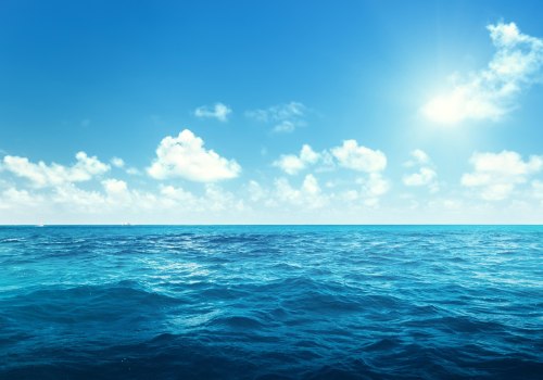 Applying Blue Ocean Strategy to Your Business